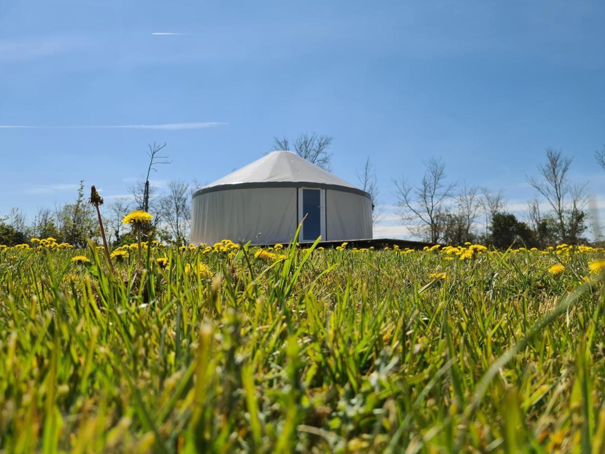 Camping A La Ferme - Hebergements Insolites Cerisy-la-Foret Kültér fotó